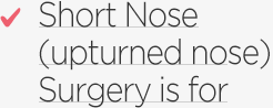 Short nose(upturned nose)